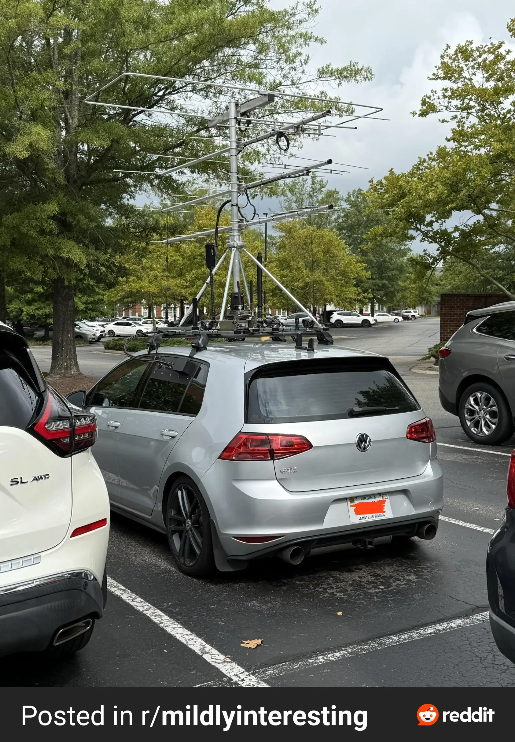 8 Chonky Legends That Stole Our Hearts Instantly đ«¶ 10 Absolute Units of a car antenna