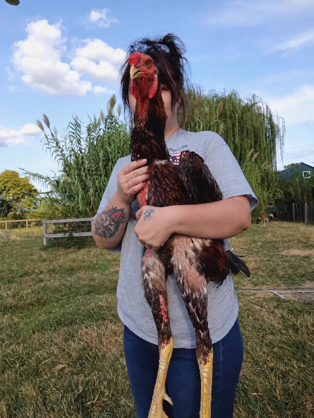 These 8 Everyday Objects Turned Into Absolute Units Overnight đ« 14 Massive chicken absolute unit standing tall