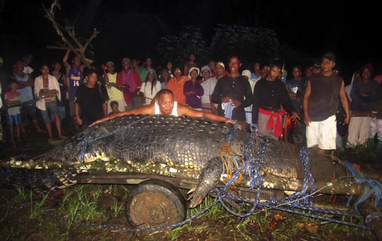 The 11 Most Colossal Units Ever Caught On Camera đ« 20 Absolute Units of a crocodile
