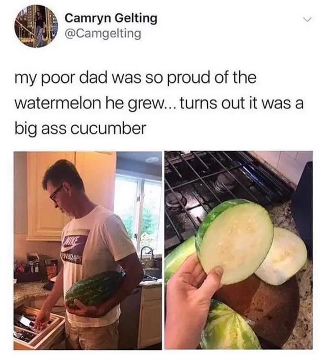8 Everyday Objects That Mutated Into Absolute Units 10 Absolute Units of a cucumber mistaken to be a watermelon