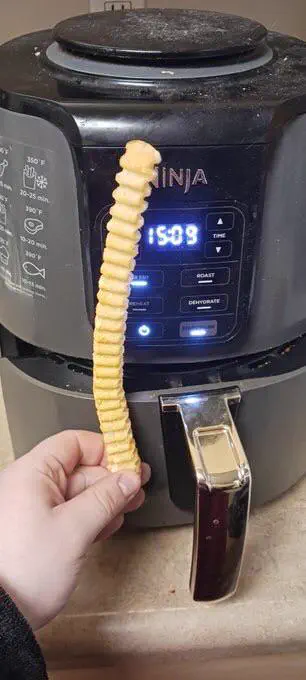 7 Everyday Things That Grew Into Absolute Tanks đ« 13 Absolute Units of a french fry