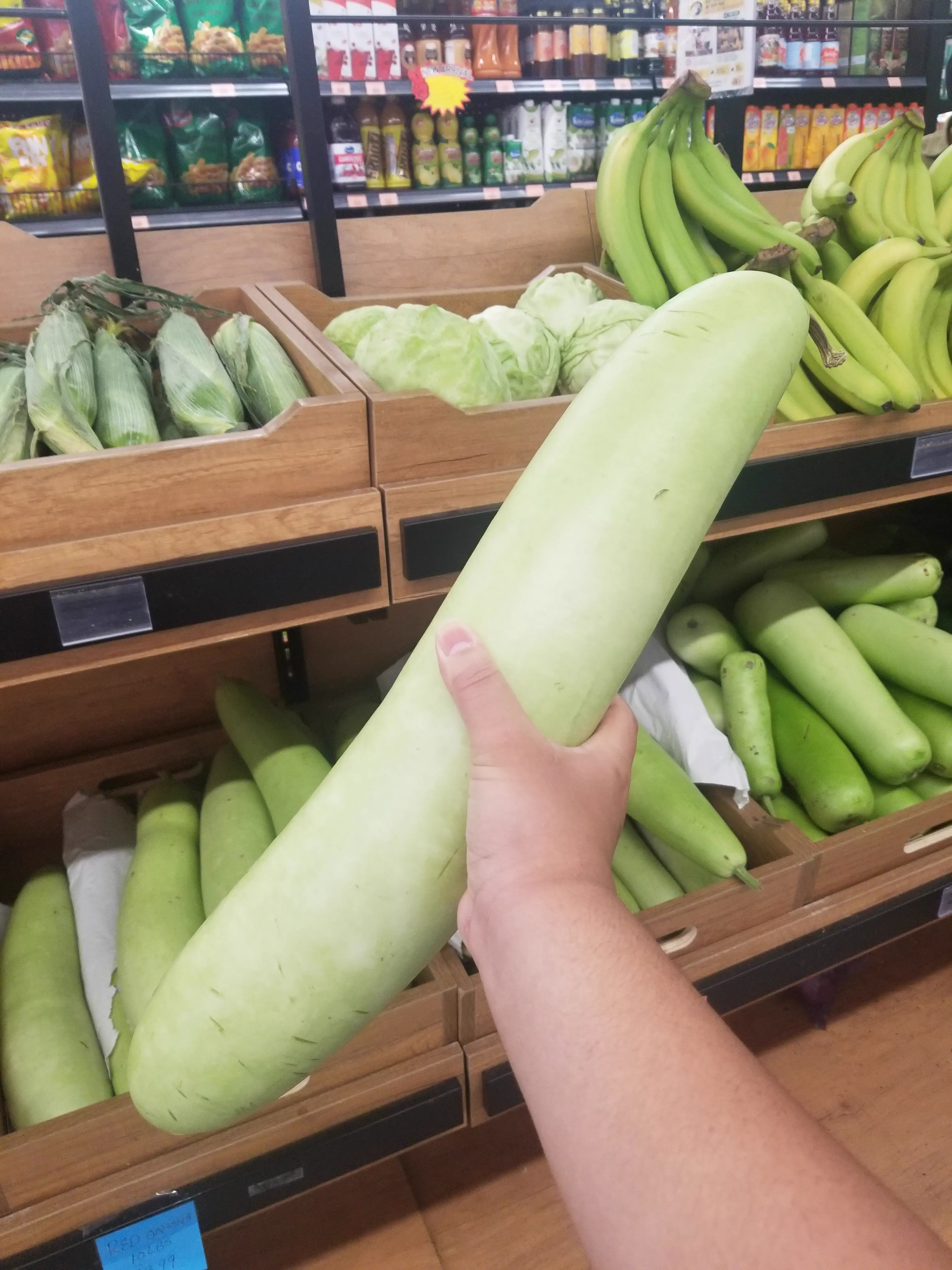 PUNCH: 10 Giants That Made Us Question Everything đ« 17 Absolute Units of a gourd or squash, found at an Indian grocery store