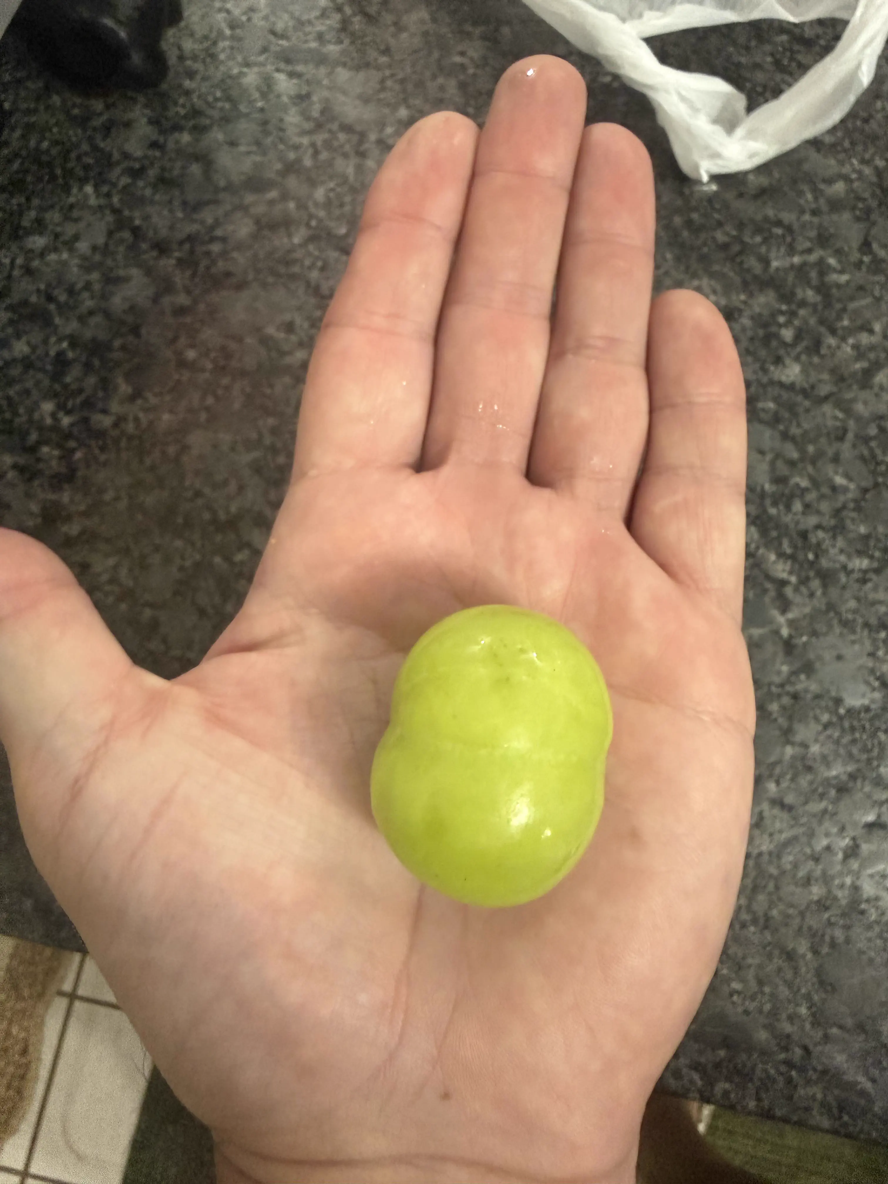 9 Oversized Legends That Rewrote the Laws of Scale 12 Absolute Units of a grape