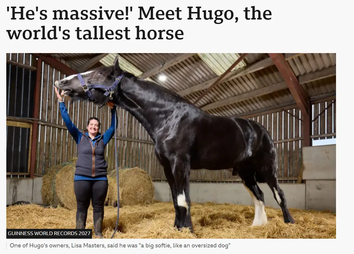9 Oversized Legends That Rewrote the Laws of Scale 14 Absolute Units of a horse