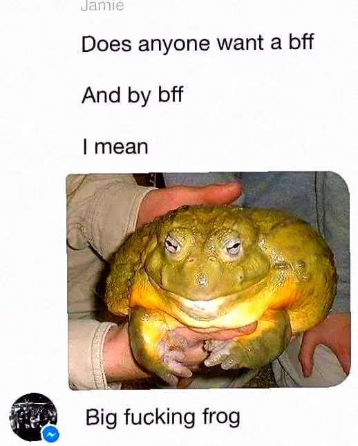 11 Everyday Objects That Puffed Up Into Absolute Units đ« 19 Absolute Units of a hypnotoad