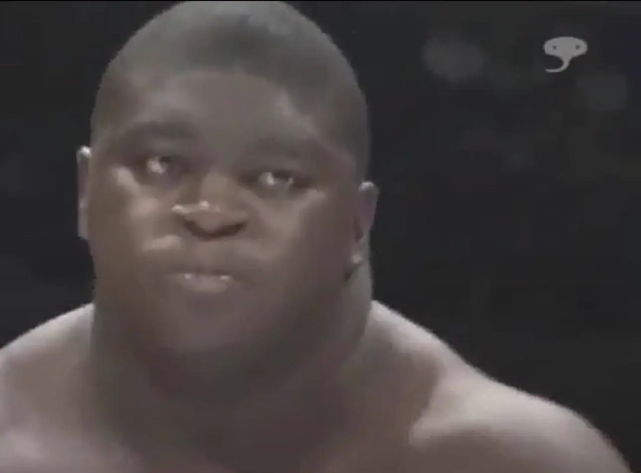 11 Oversized Legends That Rewrote the Rulebook đ« 22 Absolute Units of a neck