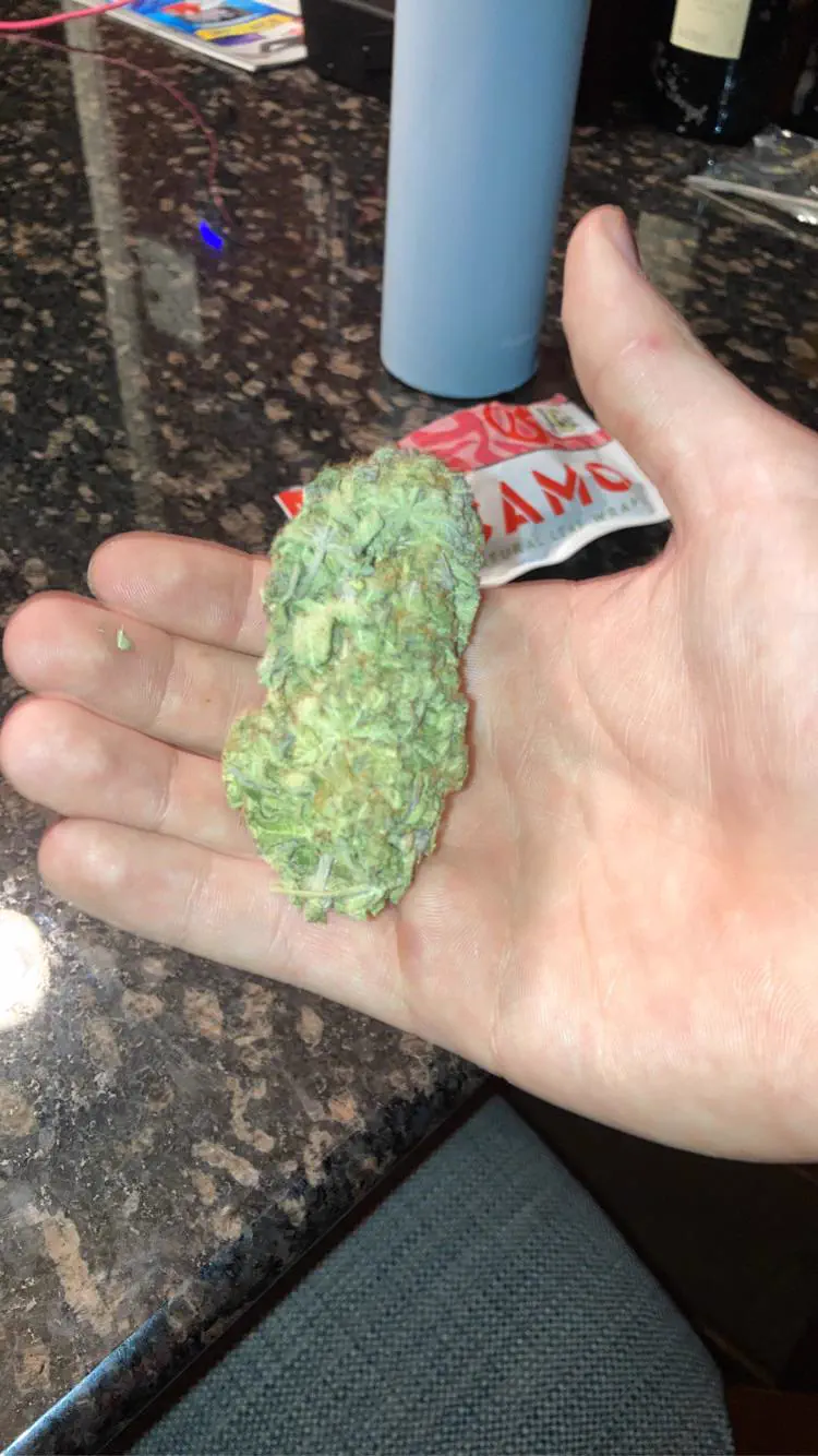 POV: You vs These 13 Absolute Tanks of Pure Chaos đ« 15 Absolute Units of a nug, was 6.6g