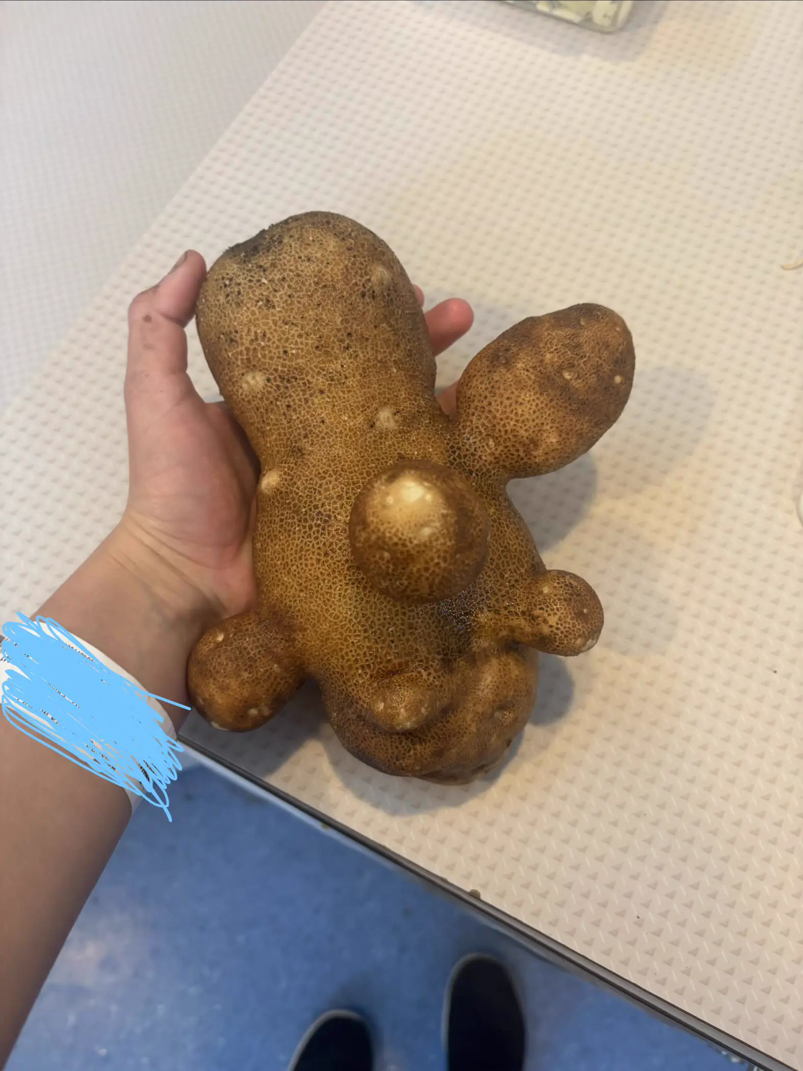7 Everyday Things That Grew Into Absolute Tanks đ« 14 Absolute Units of a potato recently picked from the group homes garden