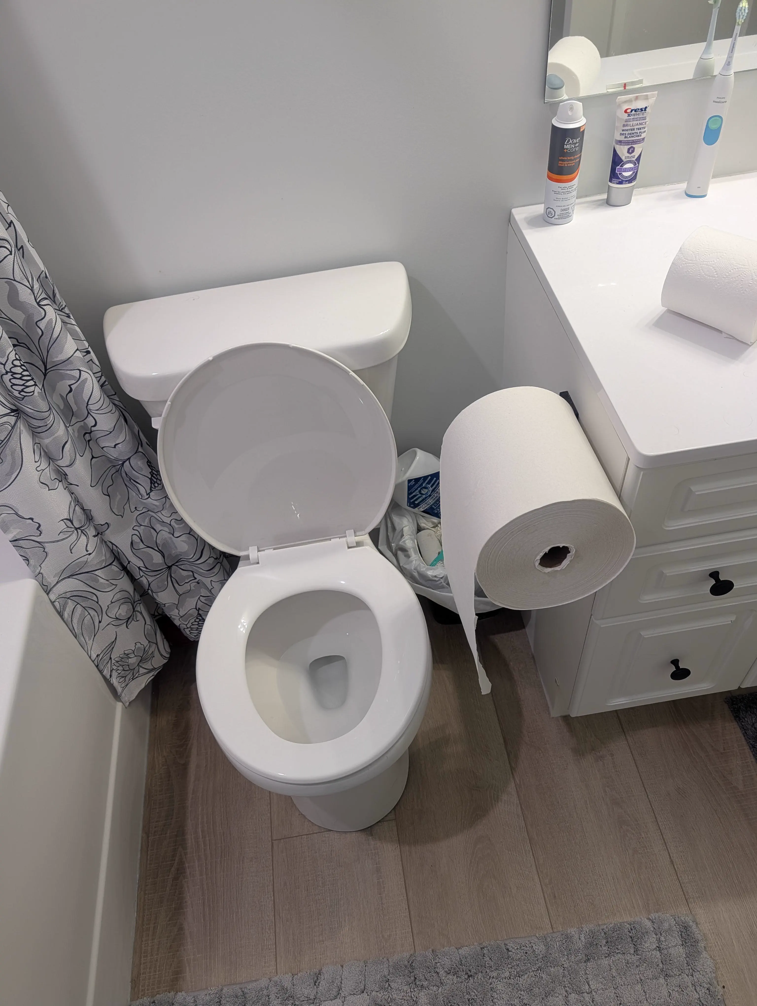 6 Chaotic Giants That Shouldn't Exist đ« 13 Absolute Units of a roll of toilet paper