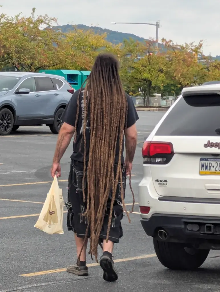 POV: You vs These 8 Absolute Units That Broke Reality 26 absolute units of a set of dreads