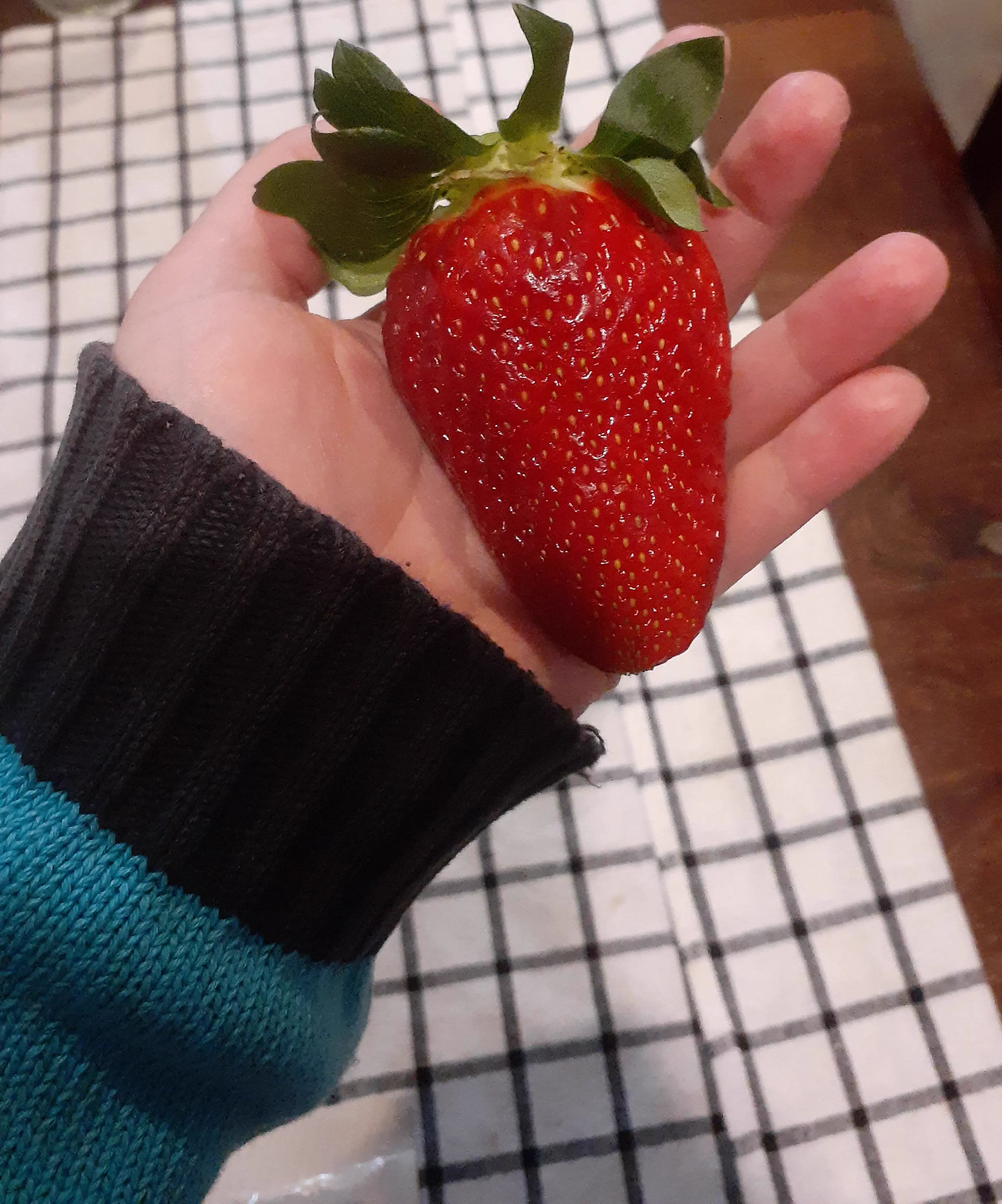 These 8 Everyday Objects Turned Into Absolute Units Overnight đ« 12 Massive strawberry absolute unit next to normal items