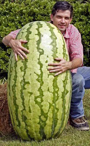 13 Absolute Units That Look Photoshopped But Aren't đ« 25 Absolute Units of a watermelon