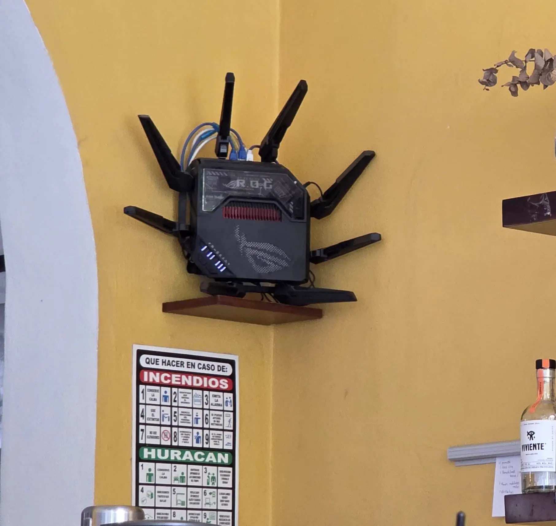 POV: You vs These 6 Absolute Tanks of Chaos đ« 12 Absolute Units of a wifi extender