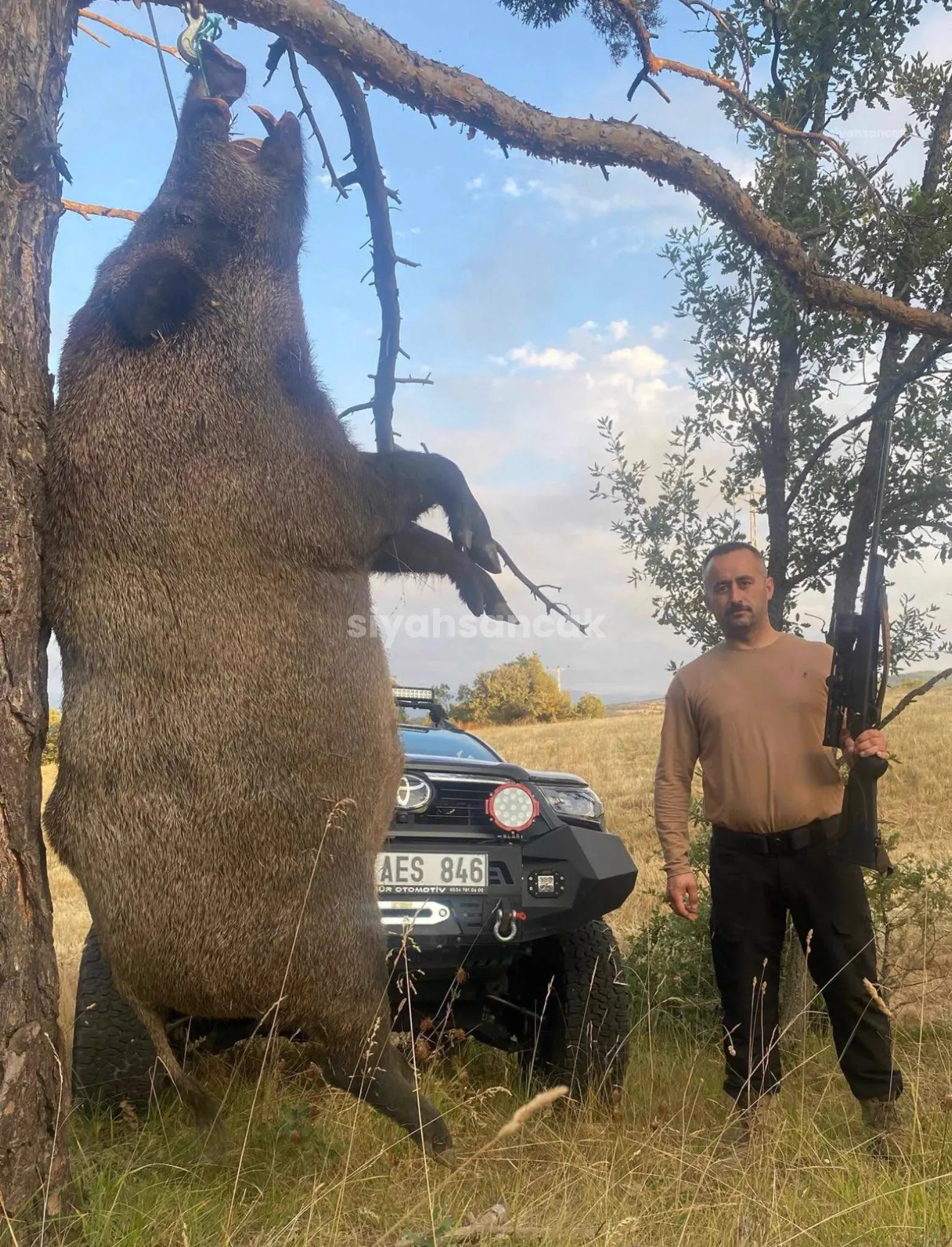 11 Oversized Legends That Rewrote the Rulebook đ« 16 Absolute Units of a wild boar