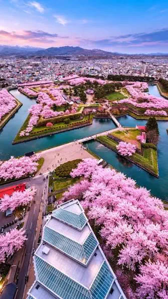 Why Are These 10 Absolute Units So Massive? đ« 20 Absolute Units of Cherry Blossom