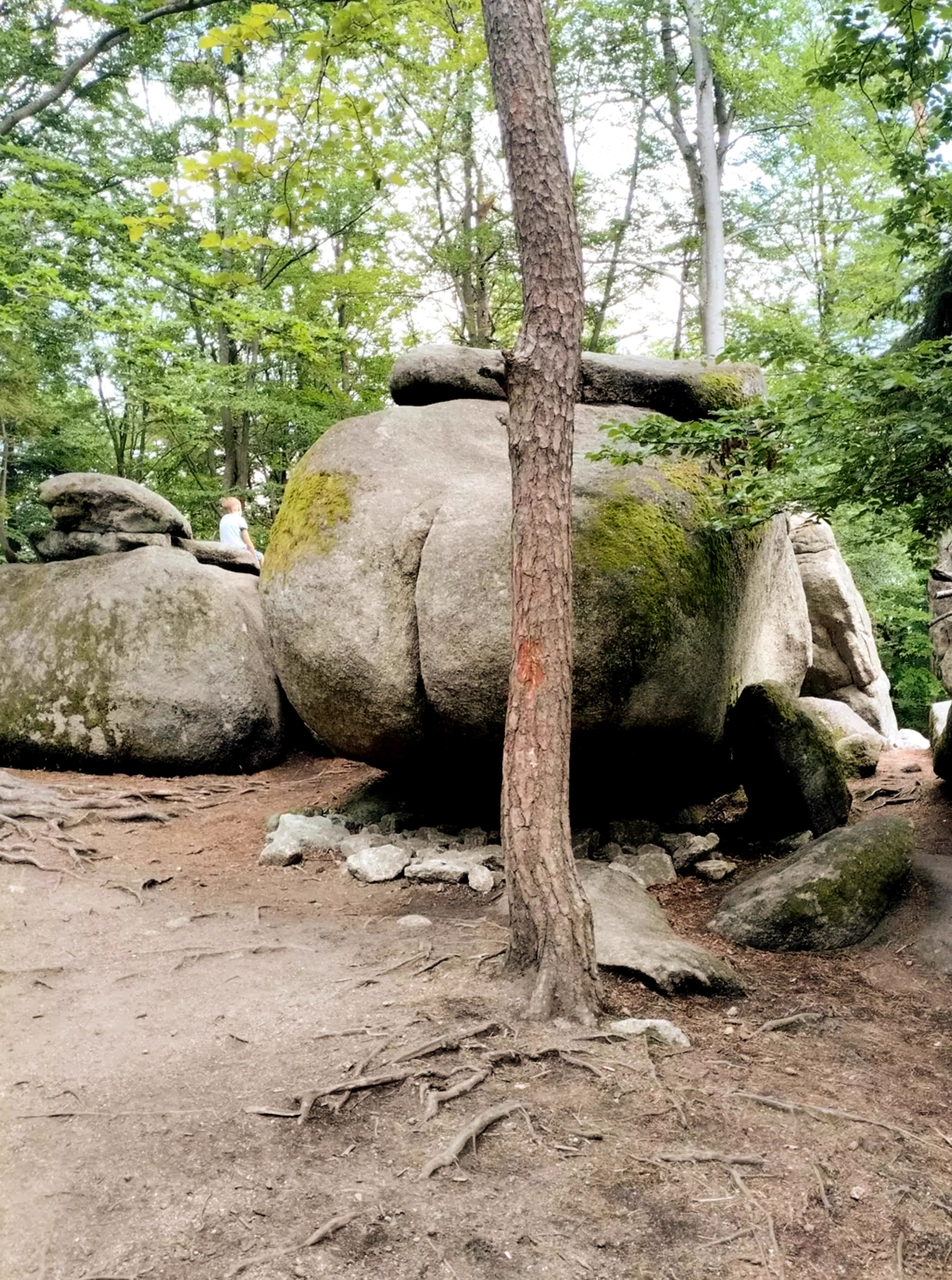 The 11 Most Colossal Units Ever Pulled From the Internet đ« 15 Absolute Units of a butt crack