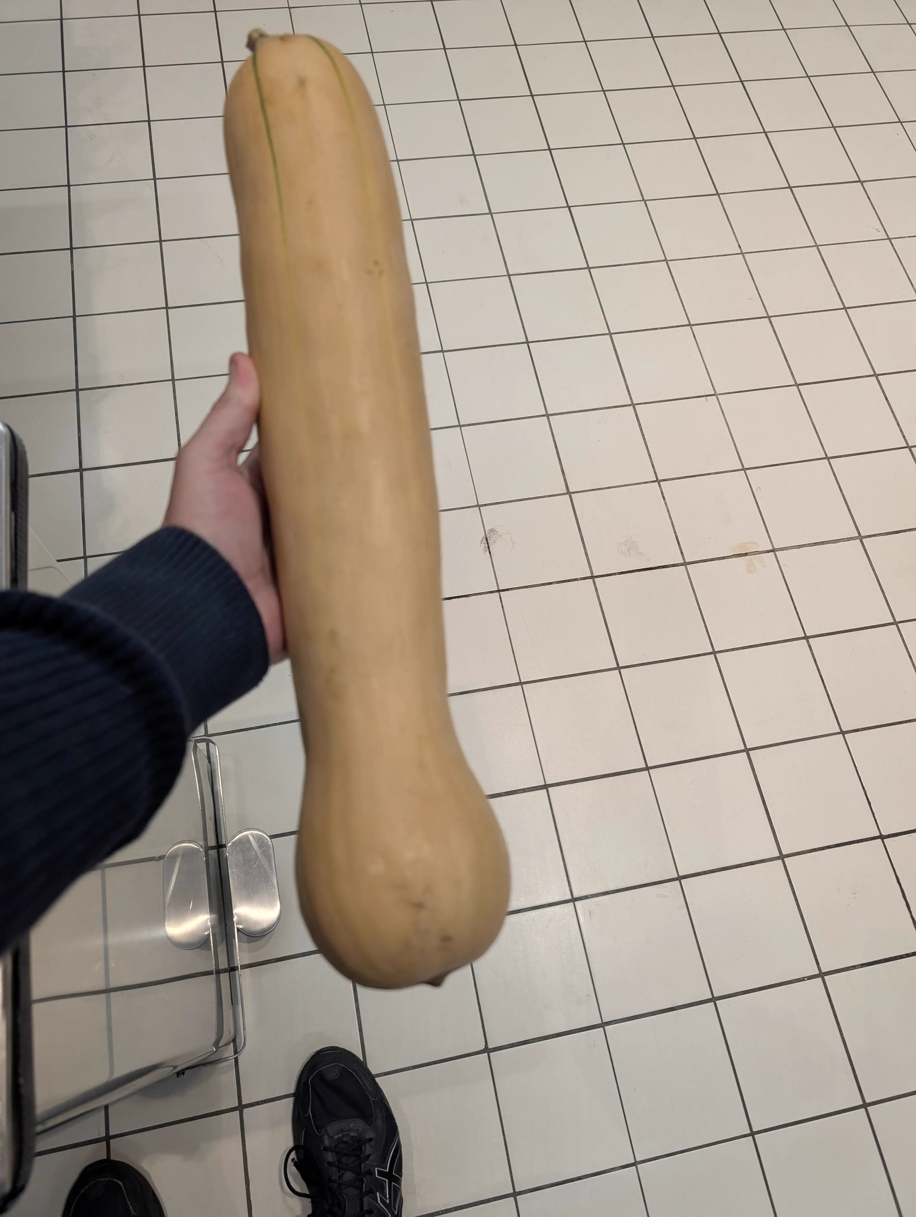 The 10 Chonkiest Units Ever Spotted in the Wild đ« 17 A comically oversized butternut squash