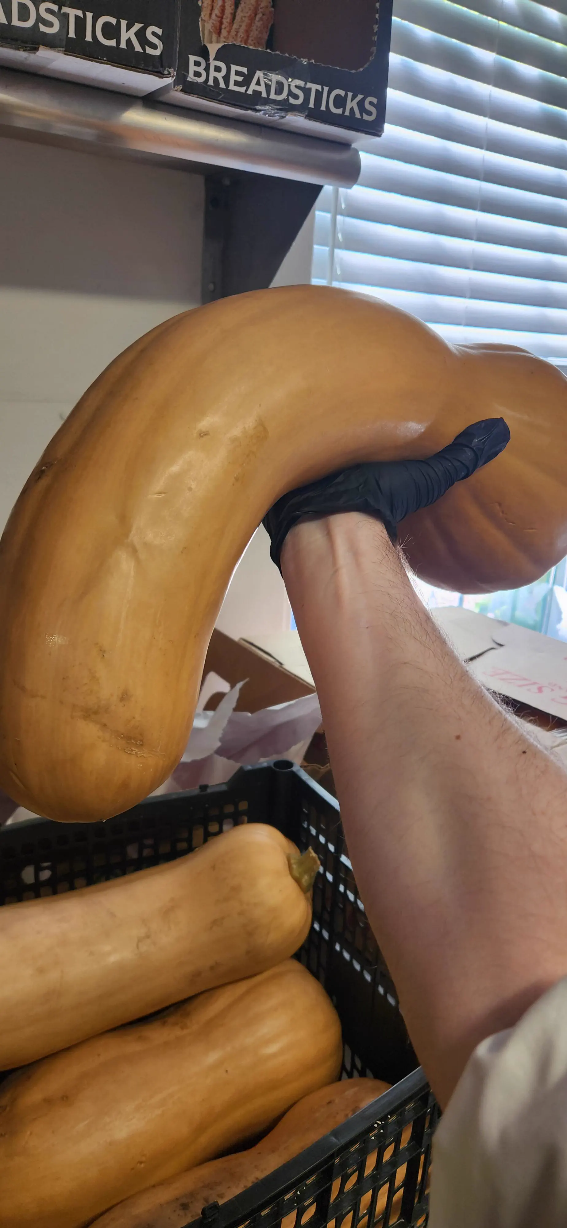 We Found 9 Chonky Units That Shouldn't Exist đ€Ż 18 Absolute Units of a butternut squash