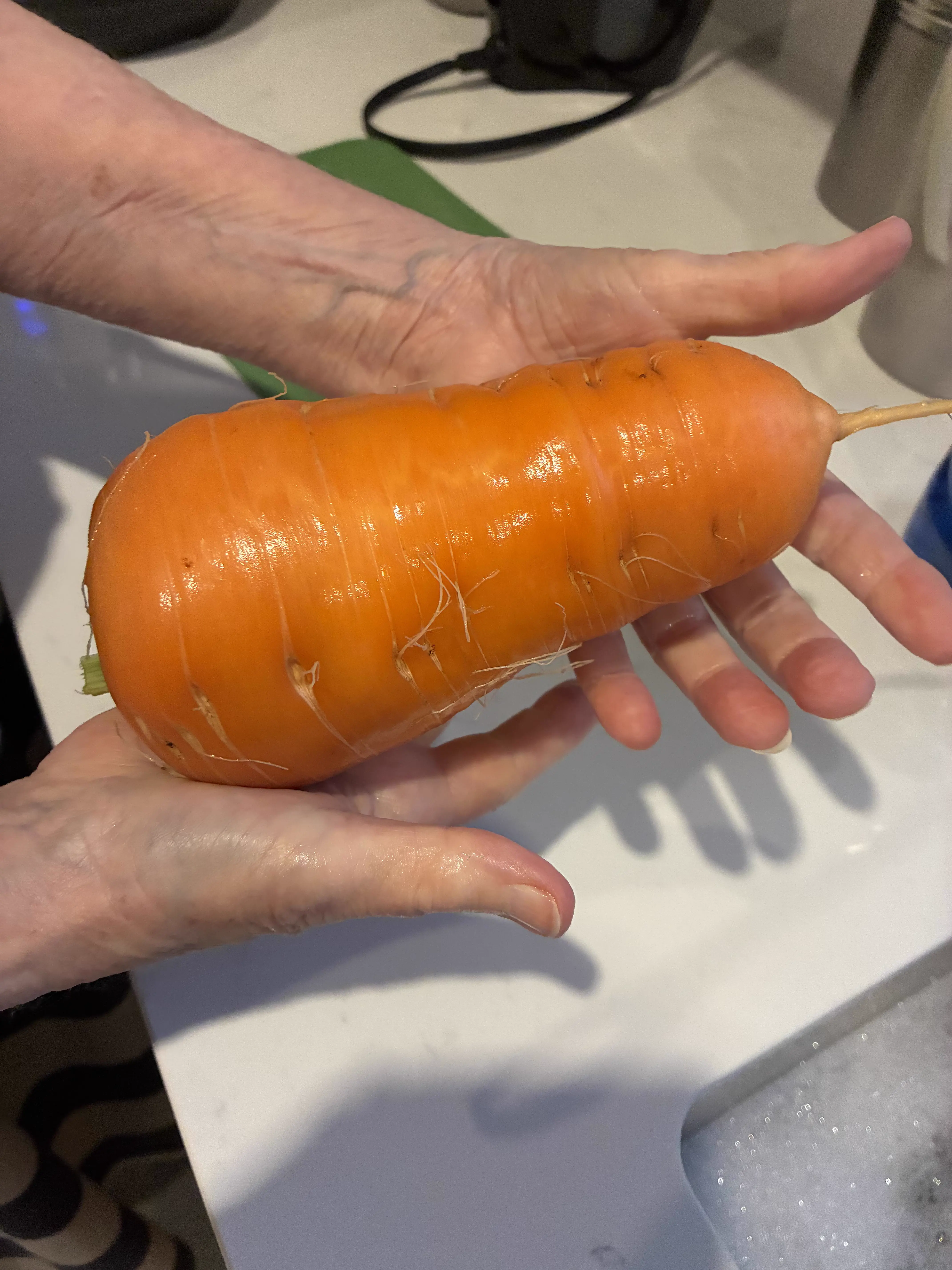 Wait Till You See These 8 Wonders Go Absolute Unit đ« 15 Giant carrot absolute unit