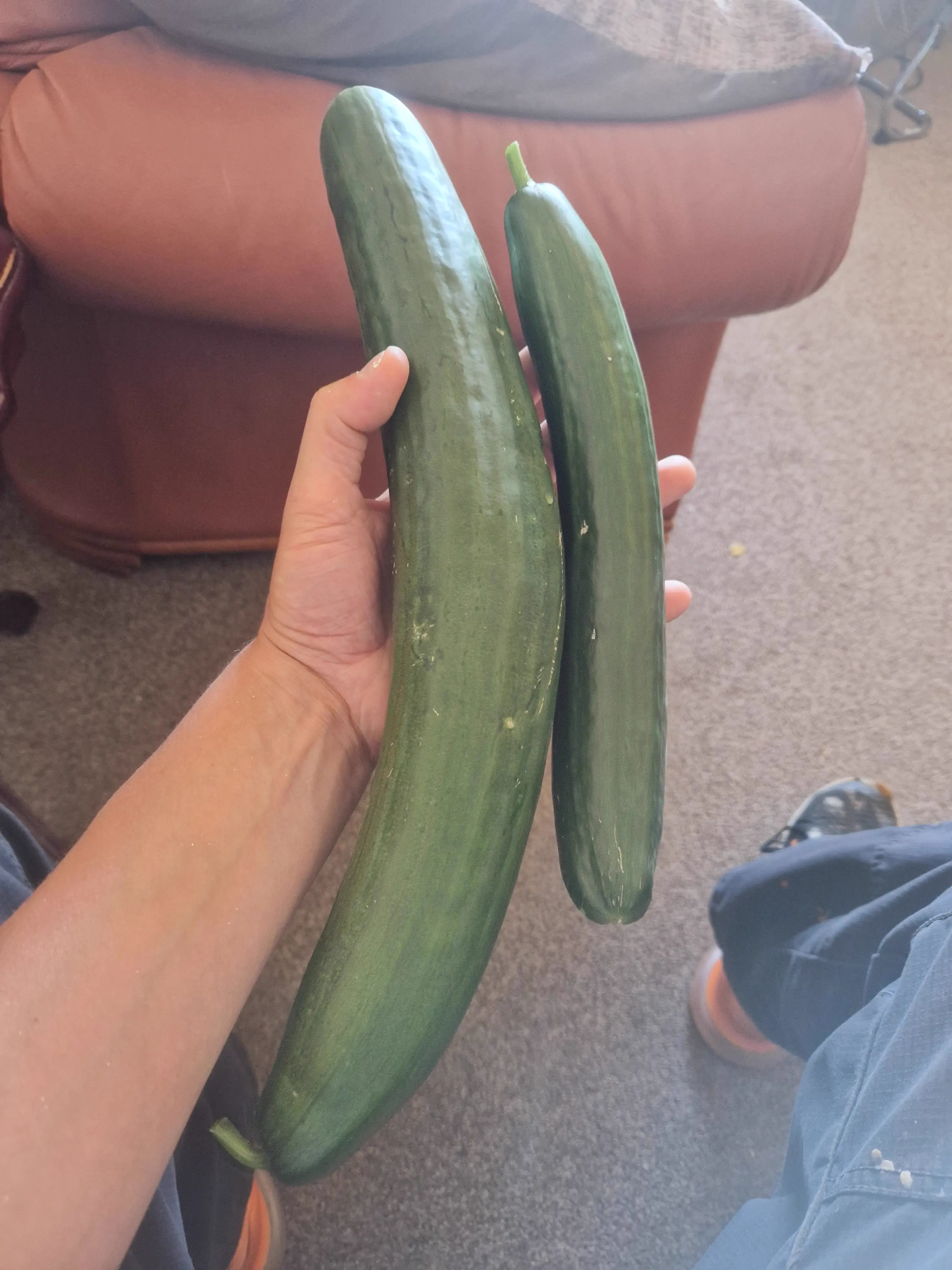 10 Everyday Things That Evolved Into Pure Chaos đ« 20 Absolute Units of a cucumber!
