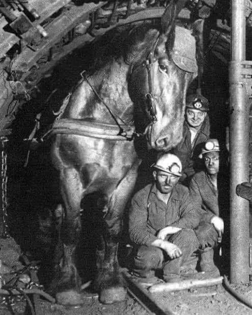 The 8 Chonkiest Units Ever Caught In The Wild đ« 11 A French workhorse towering over a miner in 1970