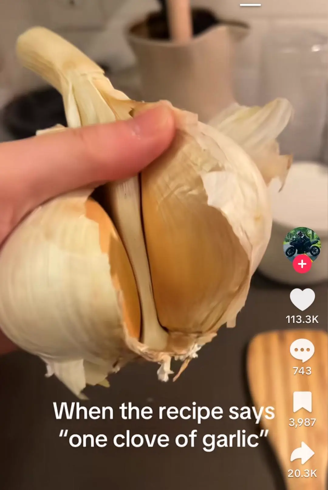 The 8 Chonkiest Units Ever Caught In The Wild đ« 13 An unusually giant garlic clove held in a hand