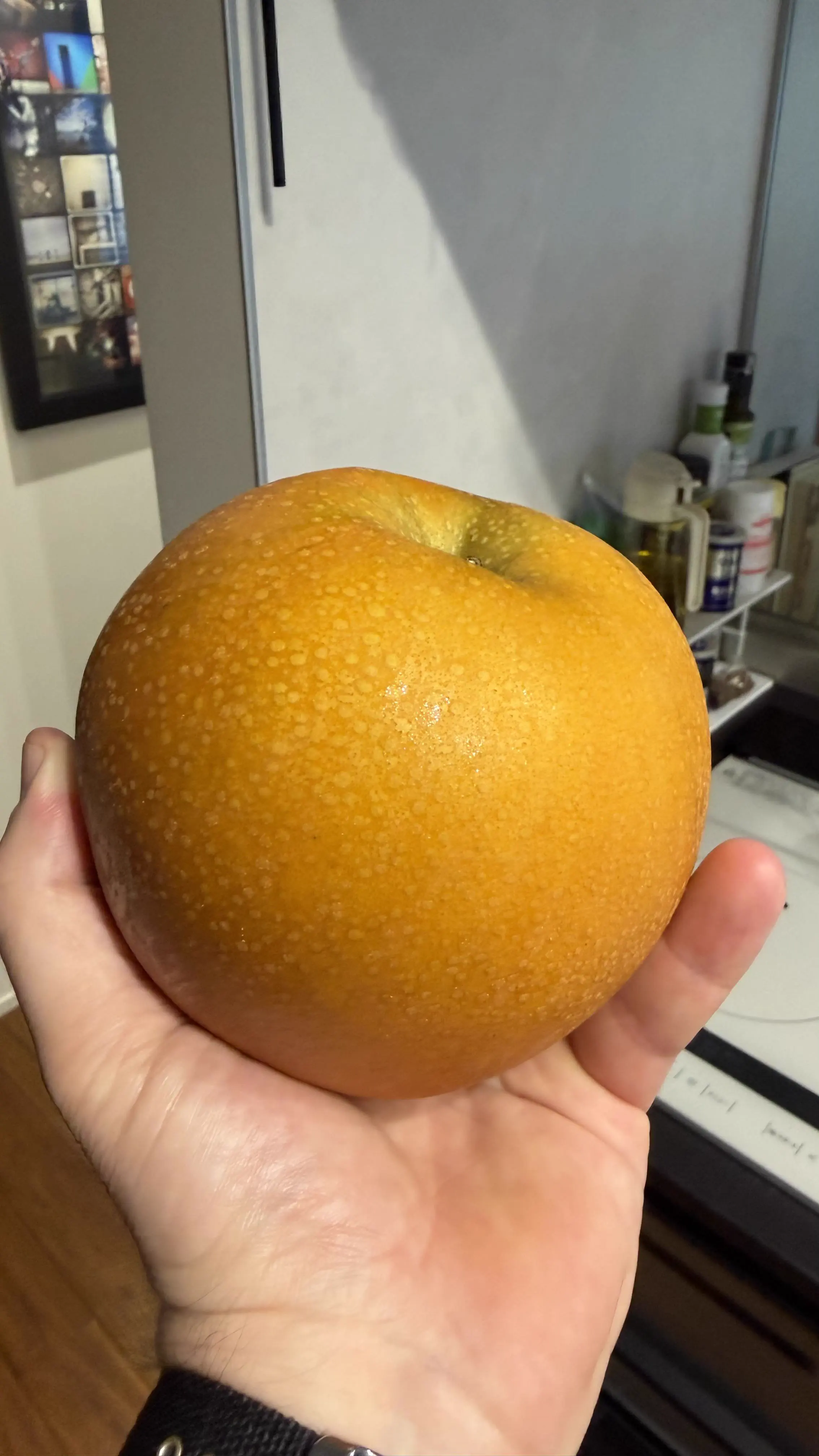 Wait Till You See These 11 Giants Built Like Tanks đ« 15 Oversized Japanese pear compared to normal sized fruit