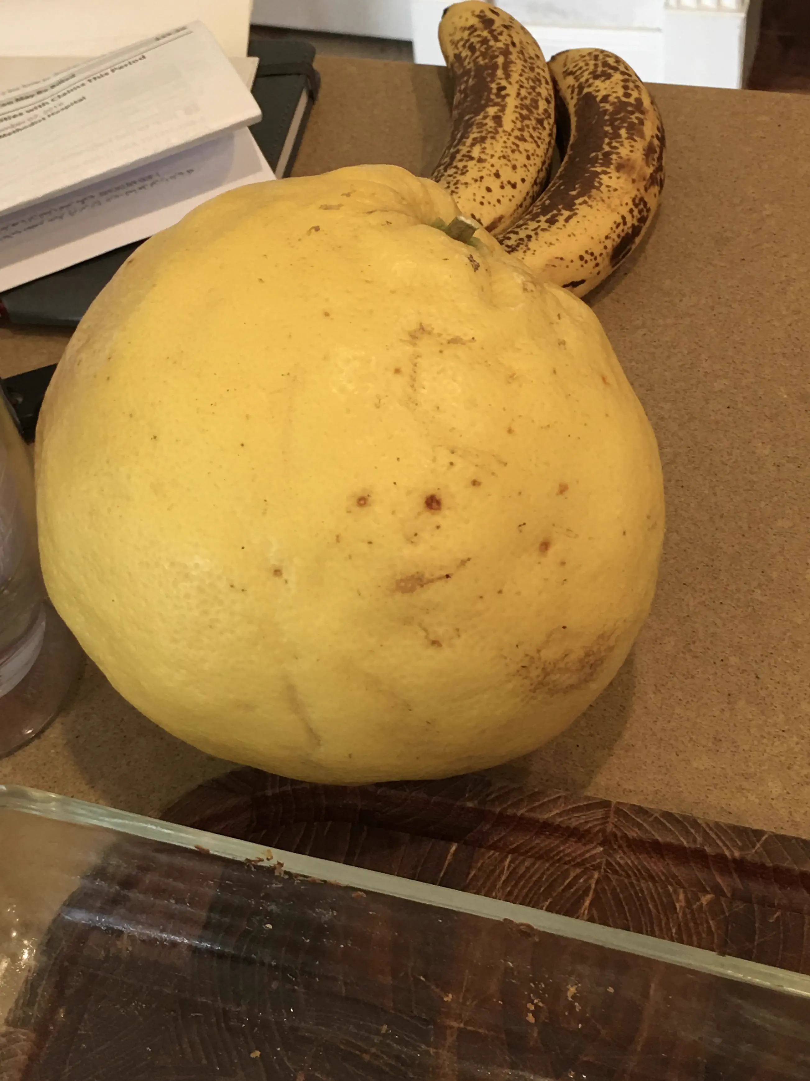 10 Everyday Things That Evolved Into Pure Chaos đ« 12 Absolute Units of a lemon