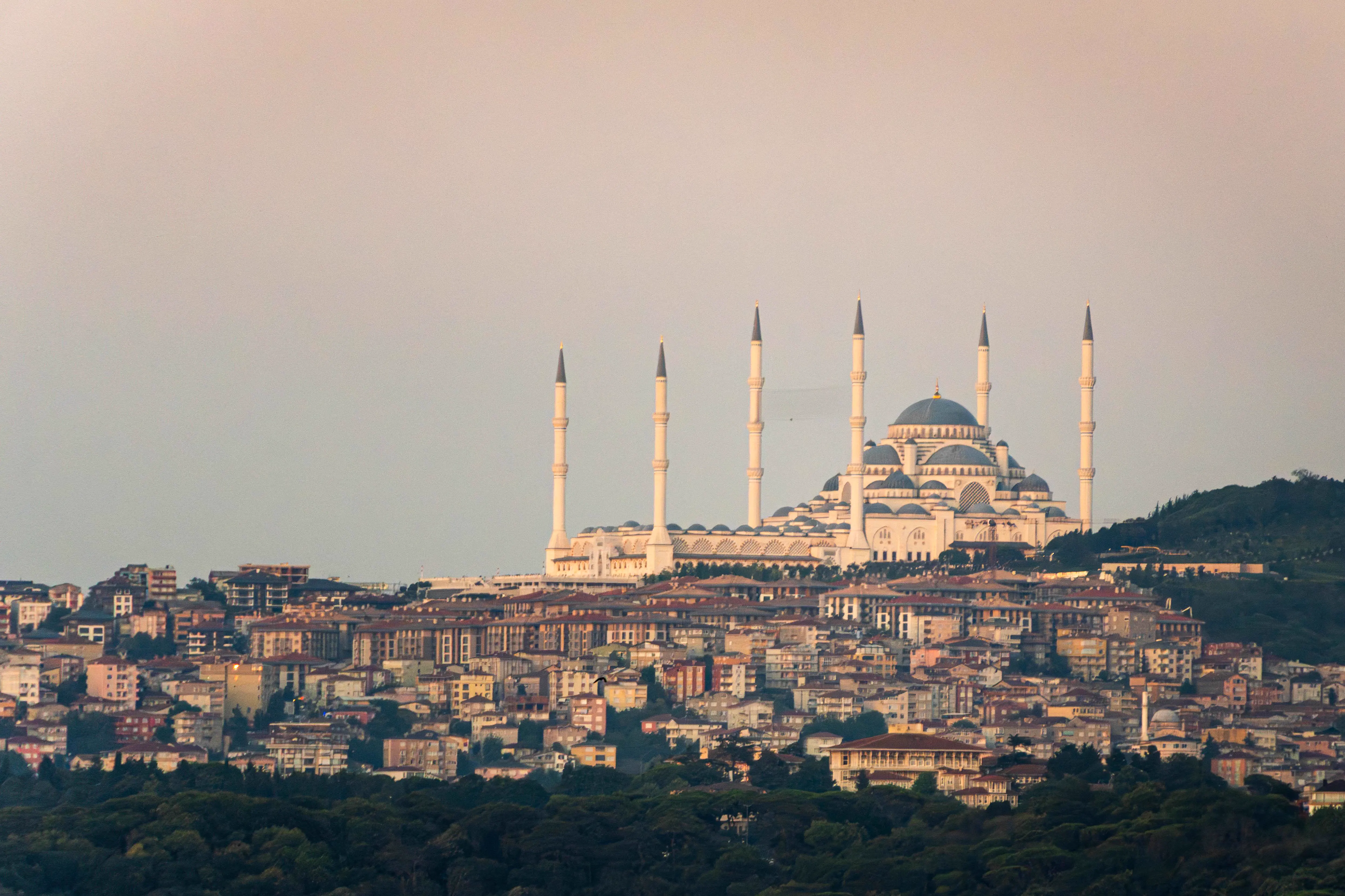 The 8 Chonkiest Units Ever Caught In The Wild đ« 16 A colossal mosque towering over tiny figures