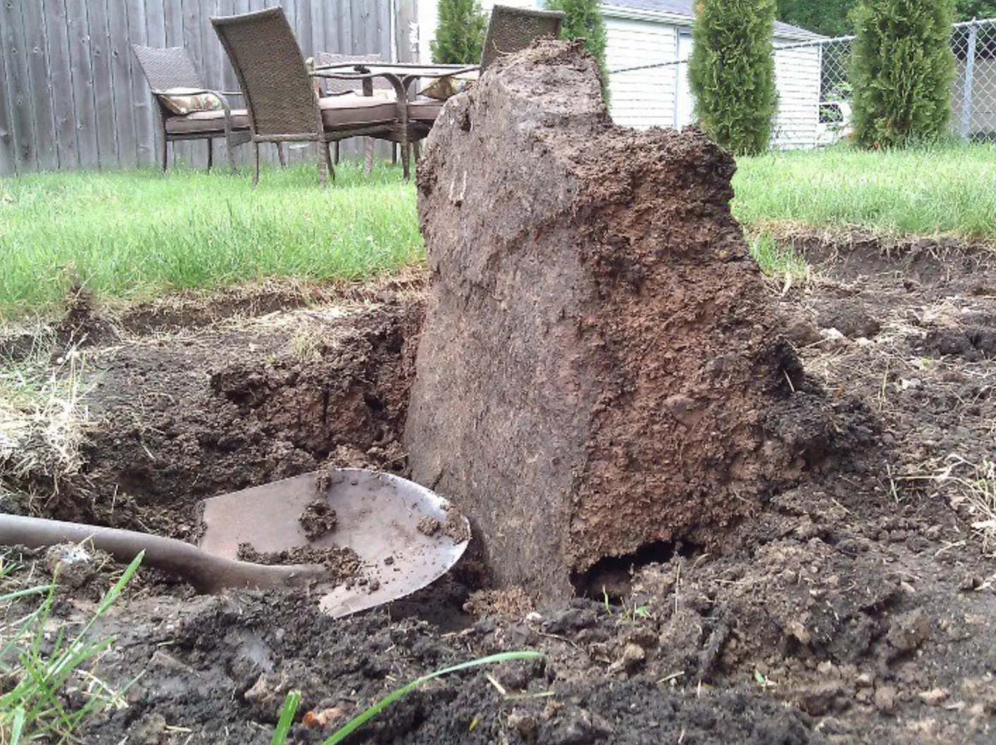 The 11 Most Colossal Units Ever Pulled From the Internet đ« 18 Absolute Units of a Rock under my lawn