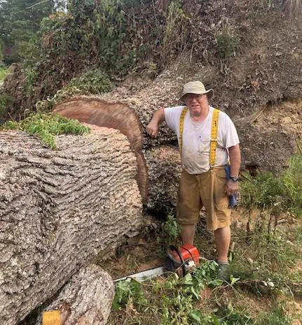8 Giants So Ridiculously Large We Had to Look Twice đ 11 Absolute units of a massive white oak tree with enormous trunk