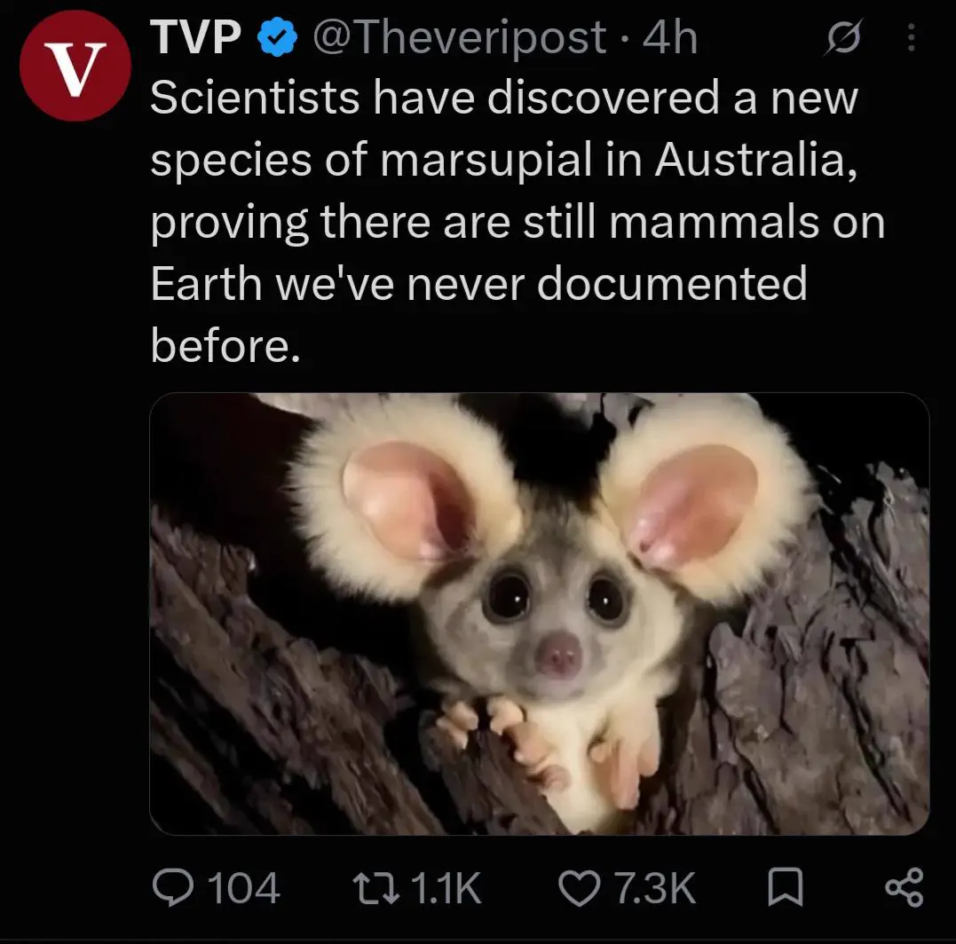 9 Giants So Ridiculous They Broke the Internet đ€Ż 16 Absolute Units of big ass ears