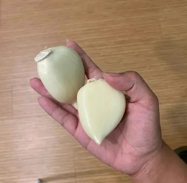 PUNCH: 12 Giants That Snapped the Scale in Half đ« 23 Absolute Units of garlic cloves